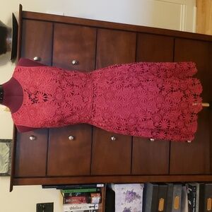 WHBM Fit & Flare Pink Floral Lace Cocktail Dress; Size 2